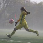 Defenders, keepers in Illinois deserving of praise