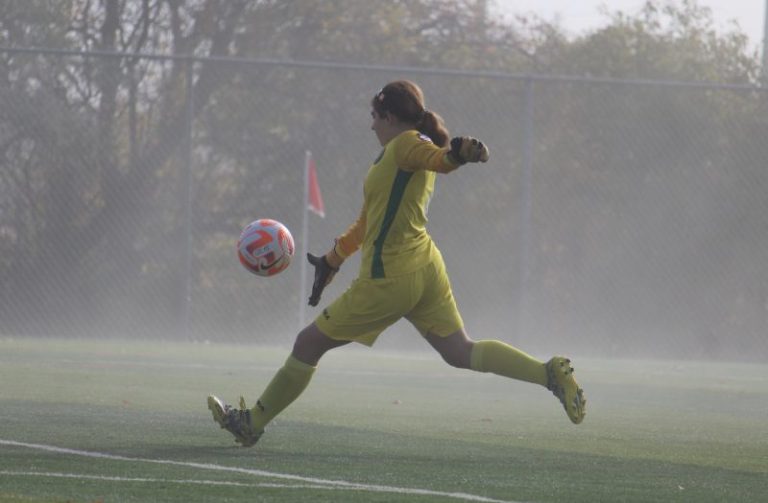 Defenders, keepers in Illinois deserving of praise