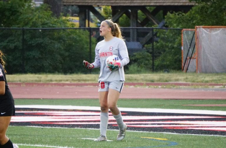 Illinois Soccer Recap: IHSA Sectionals