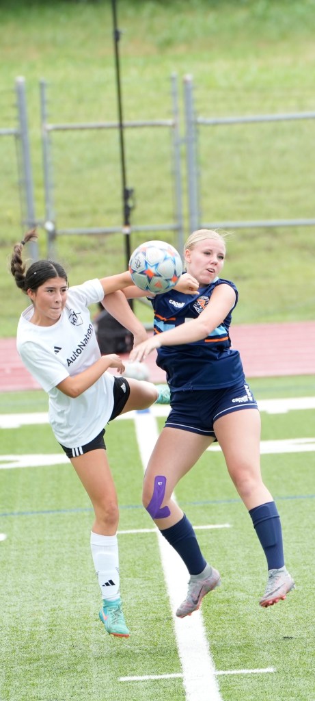 Southern states sending studs to California