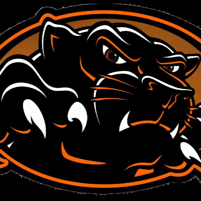 Palmyra Area