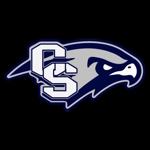 Cactus Shadows