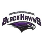 Bloomfield Hills