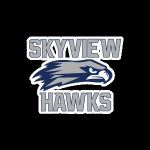 Skyview