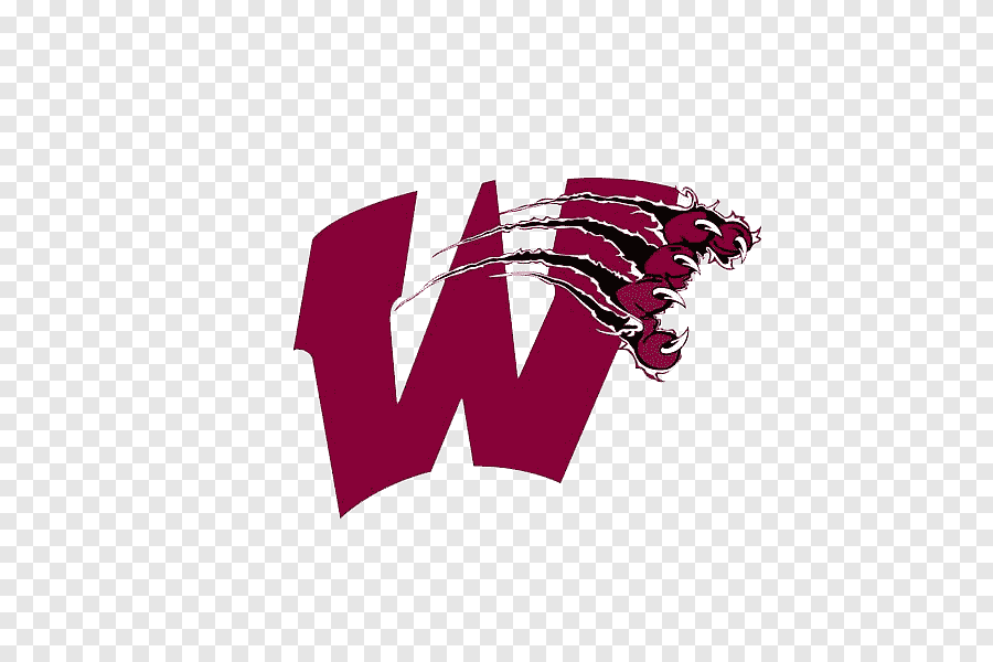 Best Players of the Top Ranked Teams: Wakefield High School