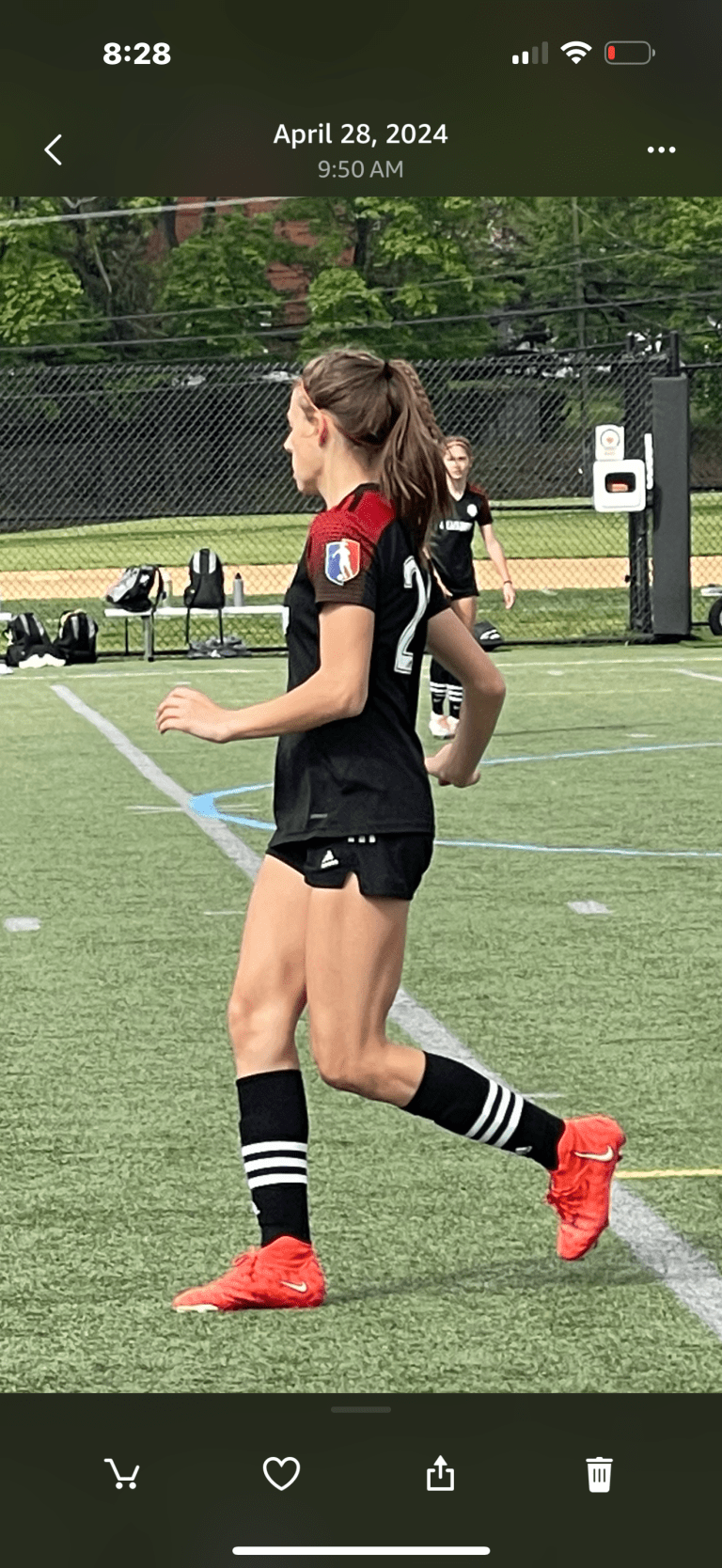 Cecelia Schlegel