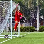 Alessandra ‘Ally’ Rojas