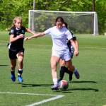 Siena Ettinger