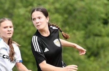 DMV: Where The D Stands For Defense