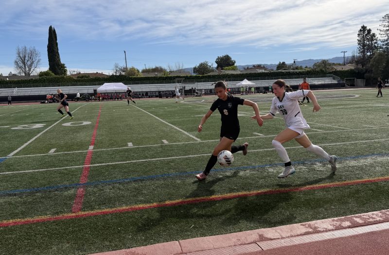 The future looks bright for fantastic freshmen