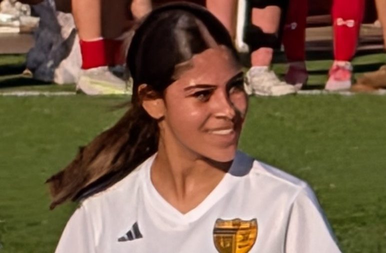 Built Different: The Strength and Strategy of Newton