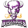 Arkansas Baptist