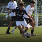 N1 South Premier: Standouts So Far