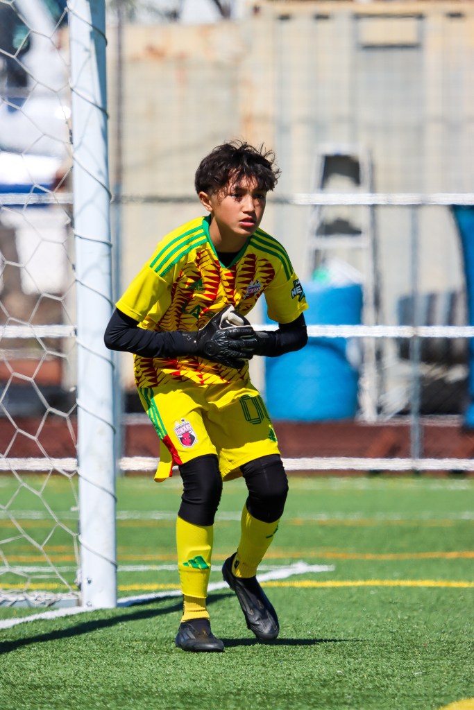 Brooklyn Castellanos