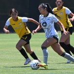 Kaylee Chong