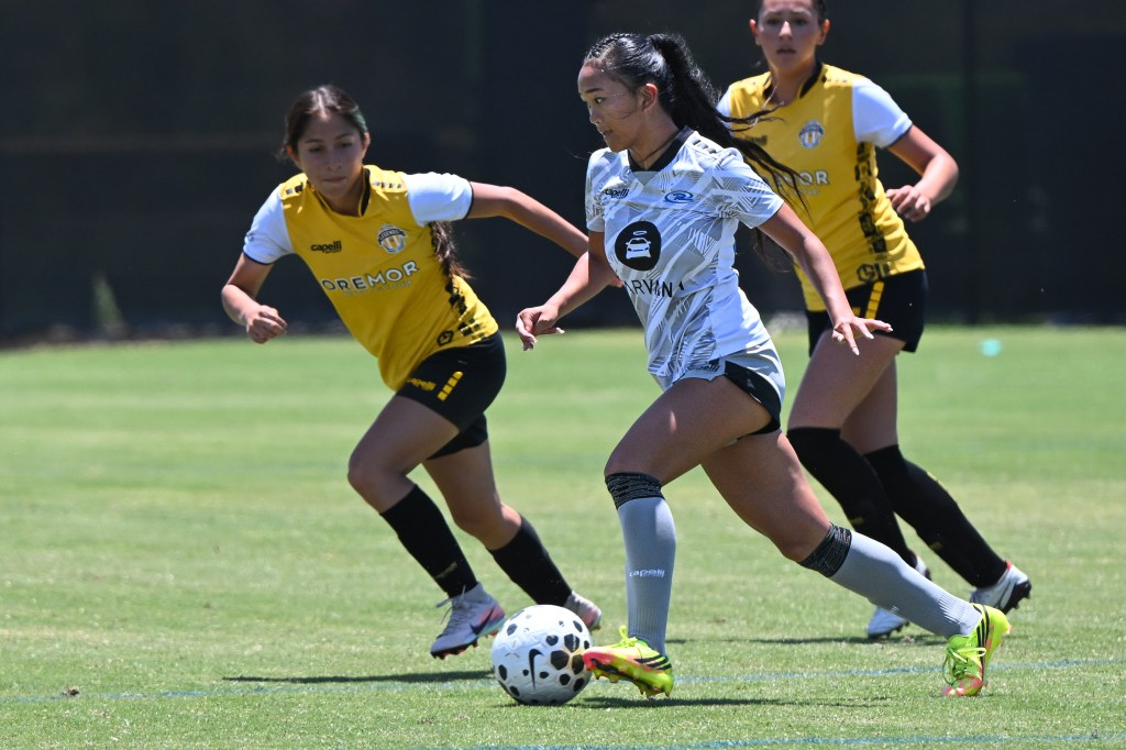 Kaylee Chong