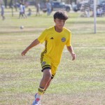 Zuriel Quinones